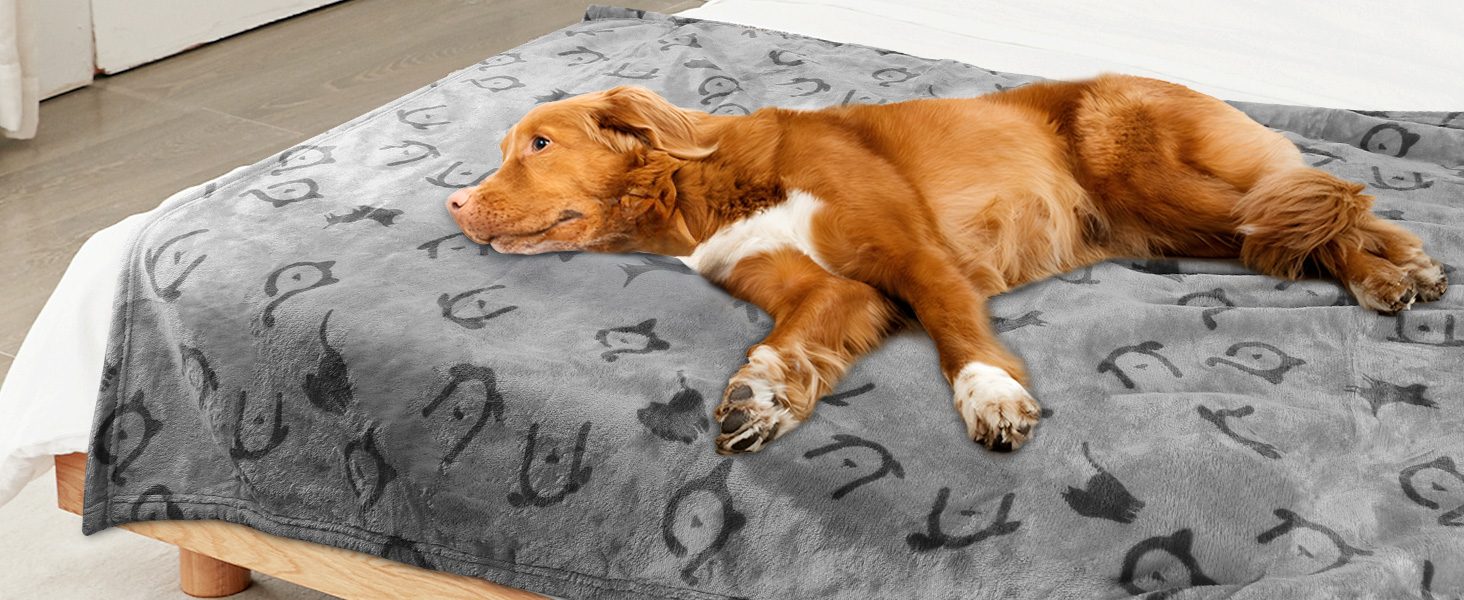 Водонепроникний плед для собак Nobleza XXL (203 x 152 см), м'який та пухнастий, для собак та котів, можна прати в машині, двосторонній чохол для дивану, сірий