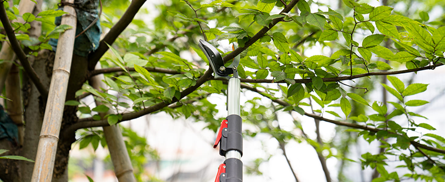 Телескопічний секатор FLORA GUARD 1,4–3,05 м для свіжих гілок і дерев, садова пила з лезом SK5 3D, обрізка та збір плодів