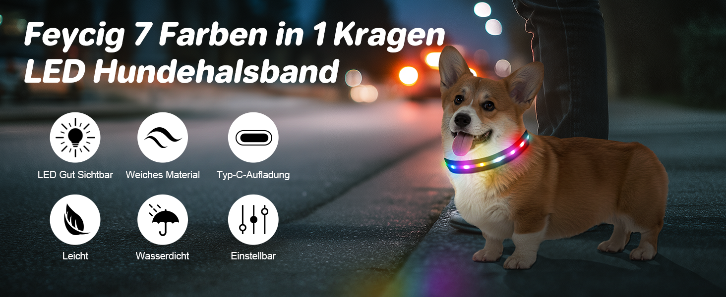 LED-нашийник для собак з підзарядкою USB, вологостійкий, регульований, 3 режими, для малих, середніх та великих собак (Чорний, L(48-60см))