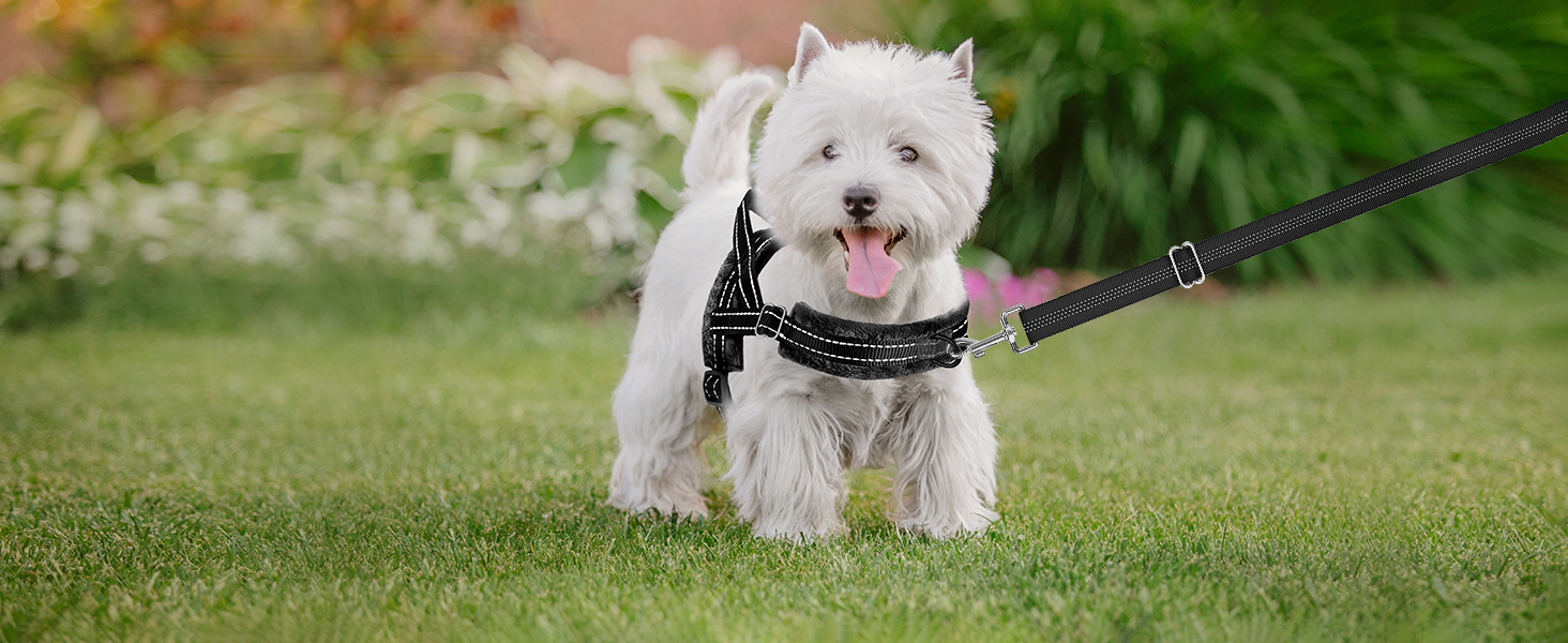 Шлейка для собак середнього та малого розміру з повідком, м'яка, не тягне, чорна, розмір S