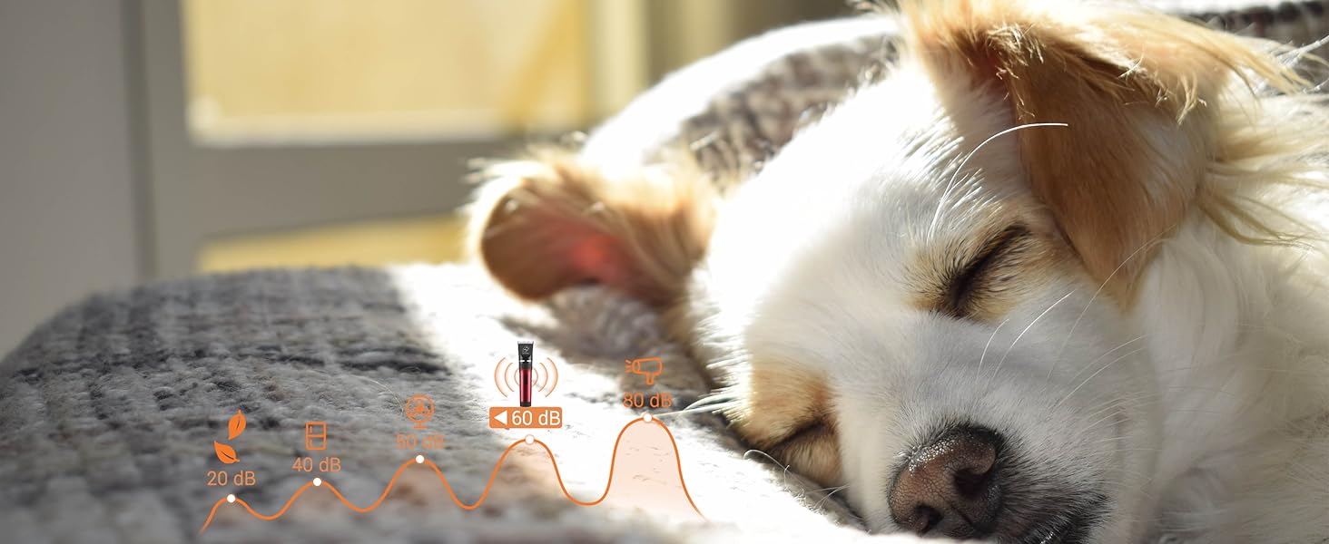 Професійна машинка для стрижки шерсті тварин Tierhaar: безшумна, акумуляторна, бездротова, для котів, собак, коней. Комплект професійного грумера