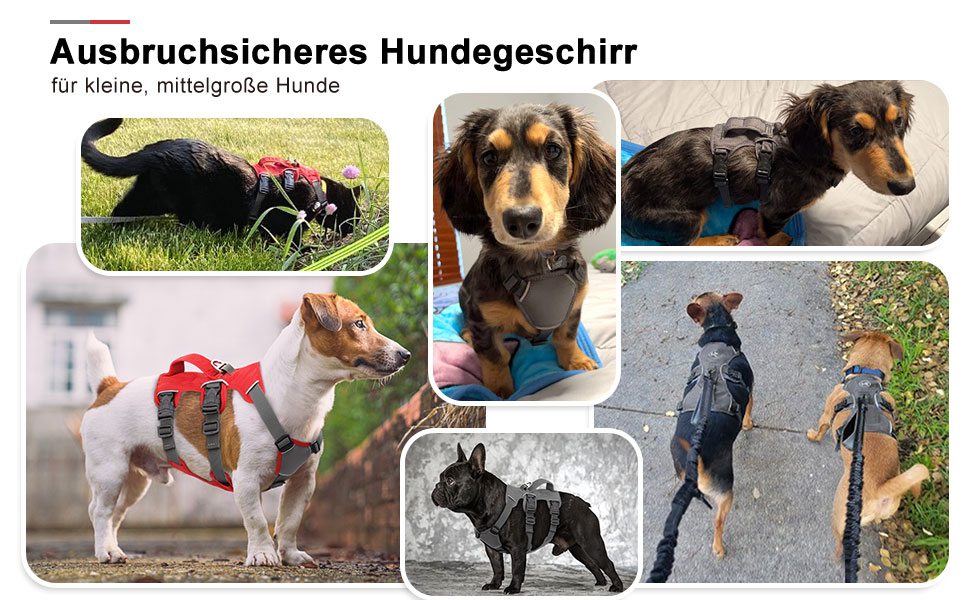 Безпечне шлейка для собак середніх порід Beirui - відбиваючі елементи, без тяги, з м'якою ручкою, водонепроникна, для щоденних прогулянок та тренувань (Сірий), S: обхват грудей 33-69 см, підходить для собак вагою 9-14 кг