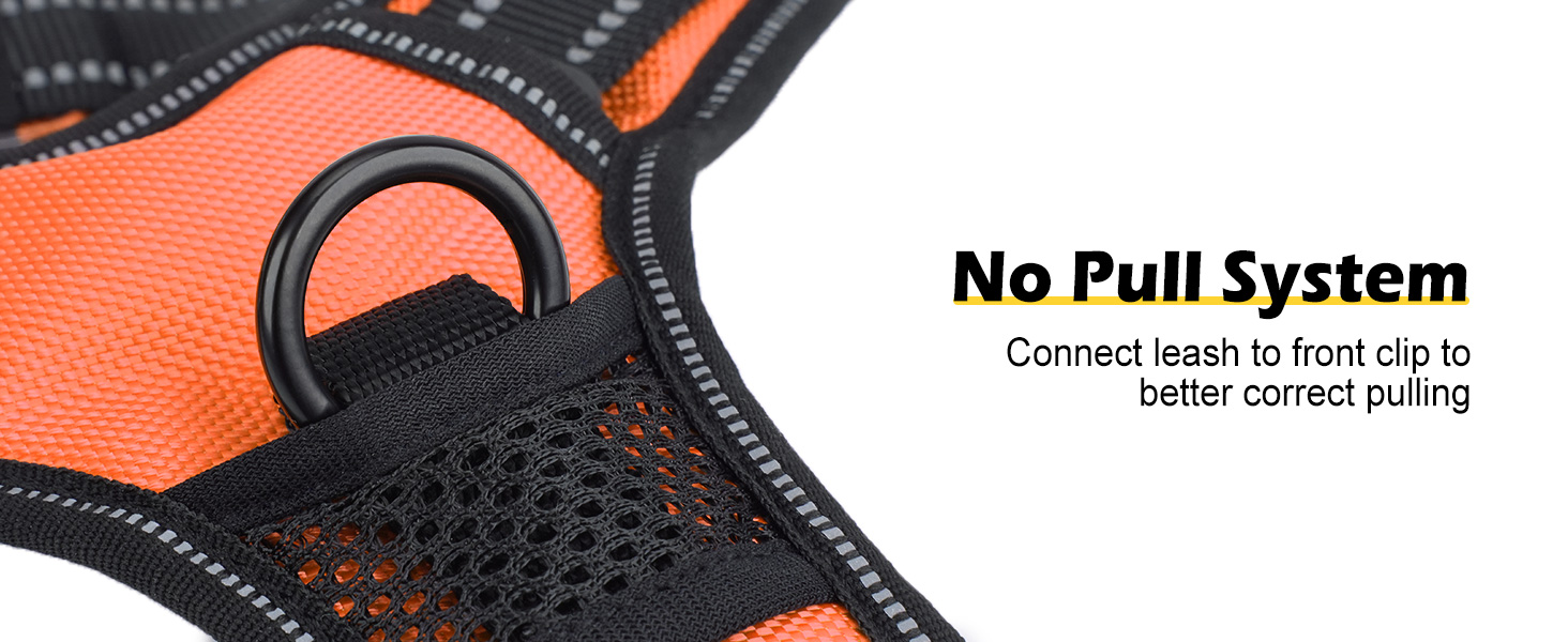 Світловідбиваючий нашийник для собак Joytale з підзарядкою, без натягування, з ручкою, для нічних прогулянок, чорно-синій, M (XL, 1 шт.), помаранчевий