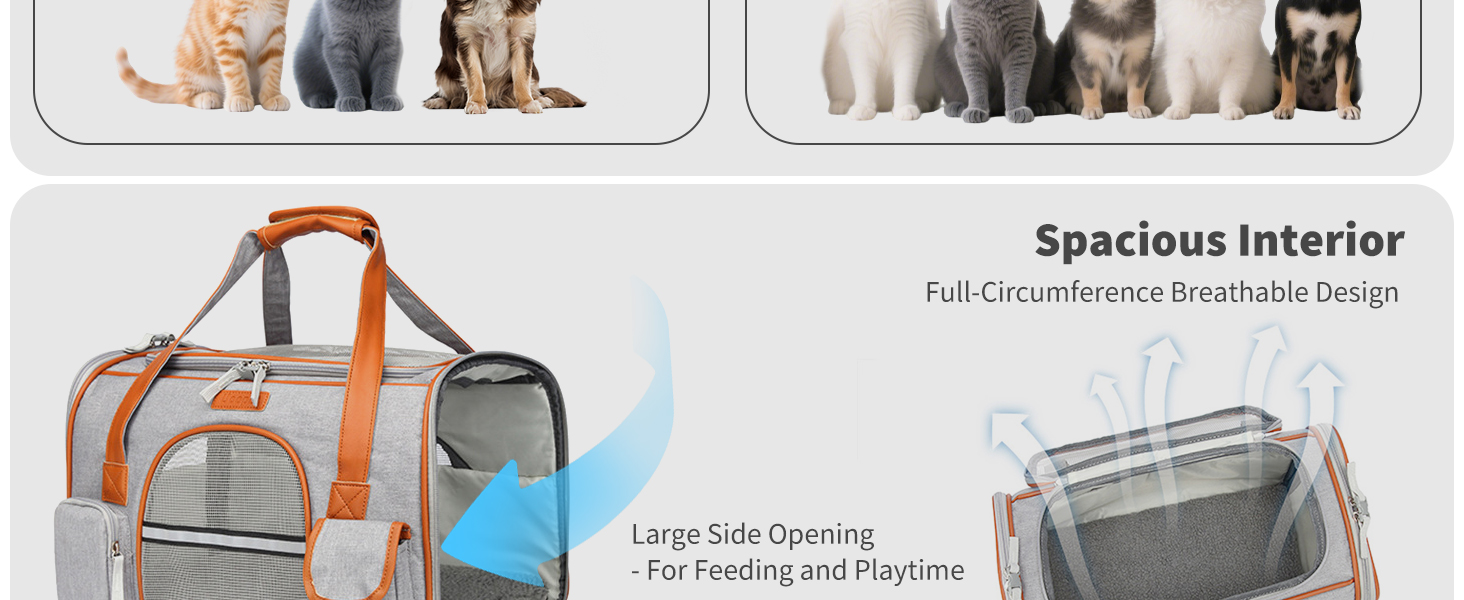 Транспортна переноска для котів та собак PETCUTE, сірого кольору, знімний килимок, дихаюча, з регульованим ременем, схвалена авіакомпаніями