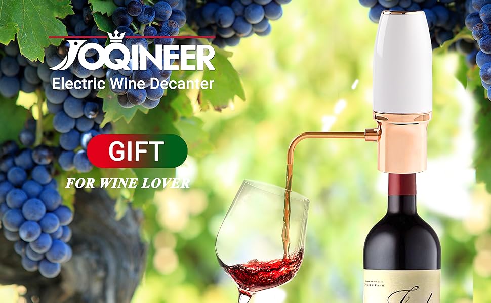Electric Wine Aerator Pourer, Portable One-Touch Wine Decanter and Wine Dispenser Pump for Red and White Wine Multi-Smart Automatic Wine Oxidation Dispenser, USB Rechargeable (White)