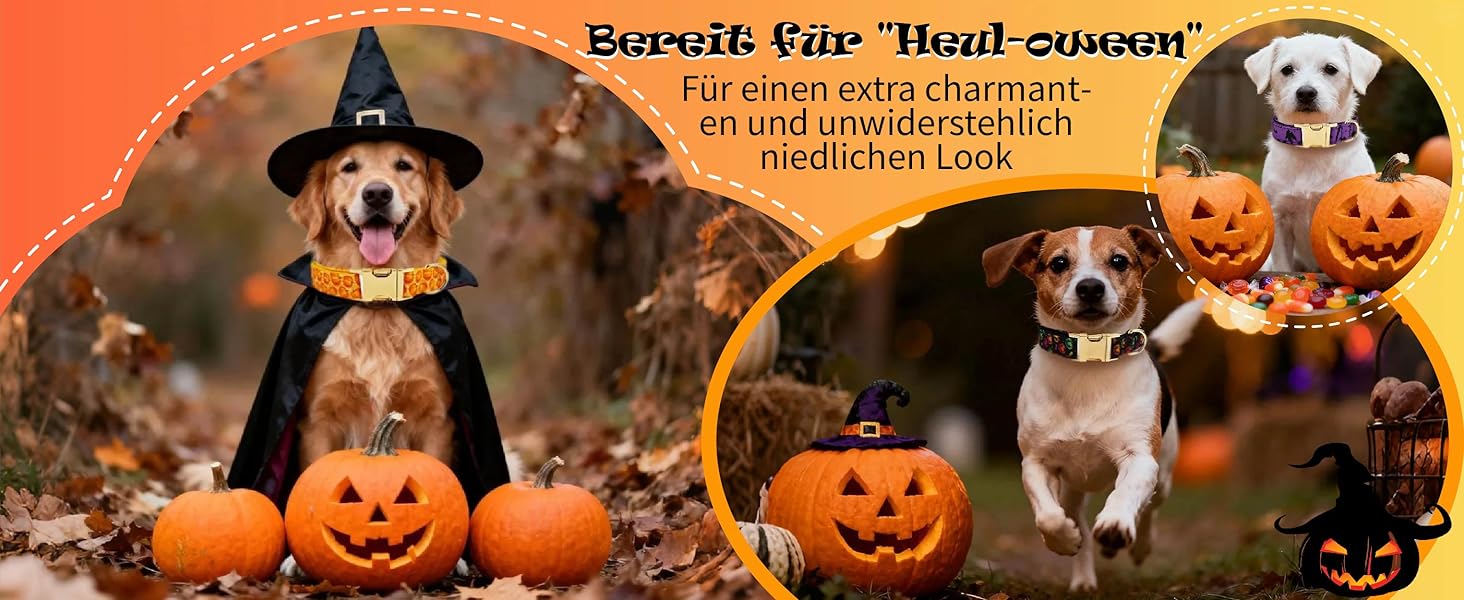 Нашийник для собак з металевою застібкою, двосторонній нашийник з іменем та номером телефону, регульовані розміри для маленьких собак, M та L (на Хелловін)