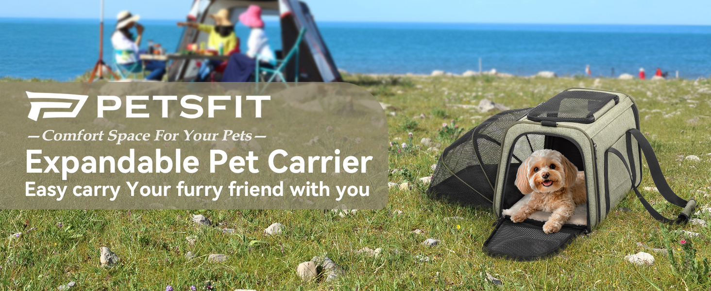 Транспортний бокс для кота/собаки Petsfit - складаний, зелений, M