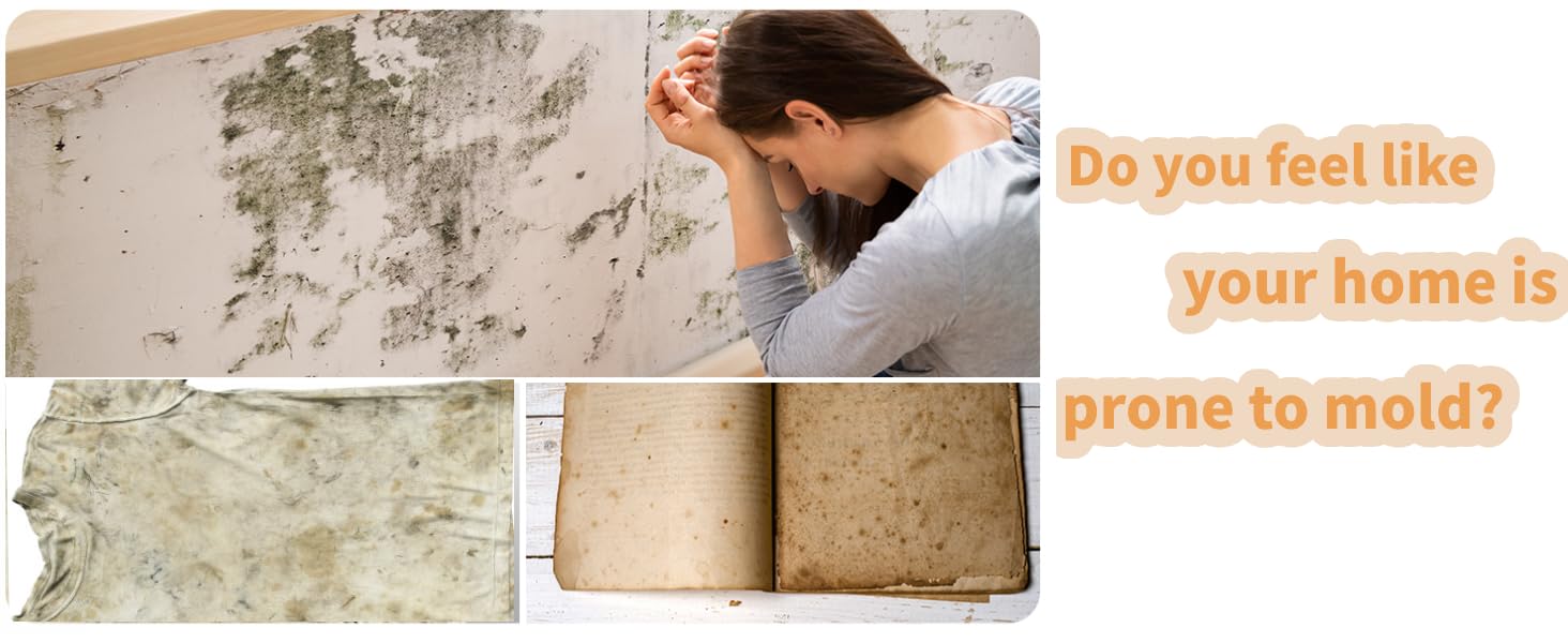 Електричний осушувач повітря EasyAcc 1200 мл, тихий, портативний, з нічним світлом, для офісу/спальні/ванної кімнати