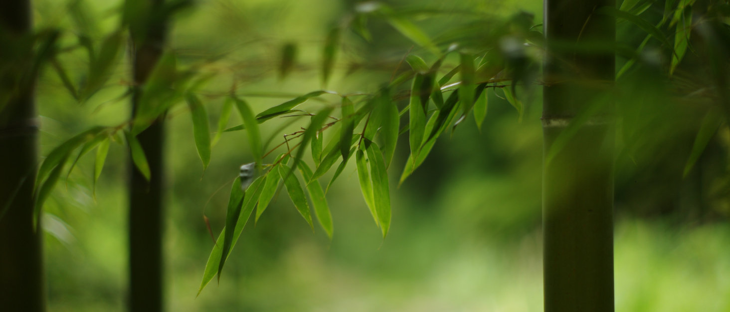 Столик для ноутбука Bathwa з бамбука, регульований, складаний, з ящиком (55 x 35 x 29 см)