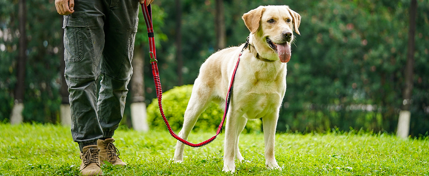 Тактична повідок для собак Joytale, еластична повідок з двома зручними ручками, страхувальний ремінь для автомобіля, повідок без ривка для собак середніх, великих та екстра-великих порід (1.2м-1.8м, червона)