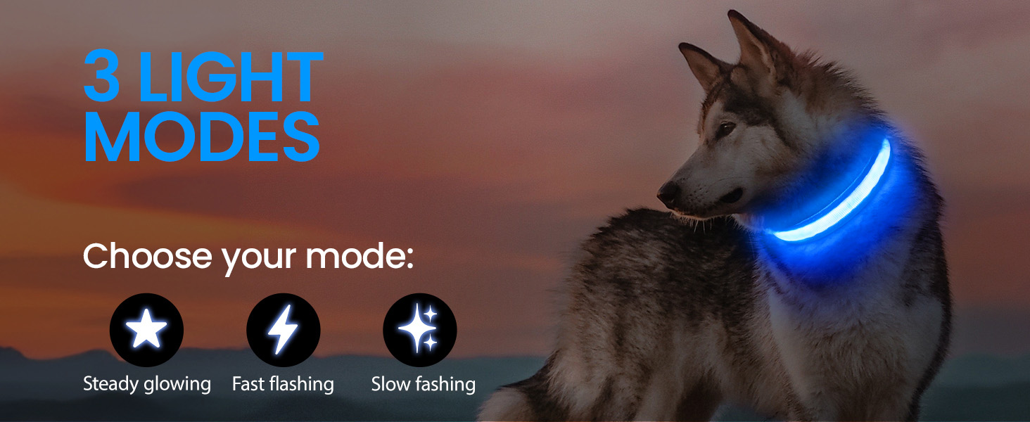 Світлодіодна нашийникова стрічка для собак Masbrill: водонепроникна, з 3 режимами світіння, регульована, для малих, середніх та великих собак, фіолетовий - S