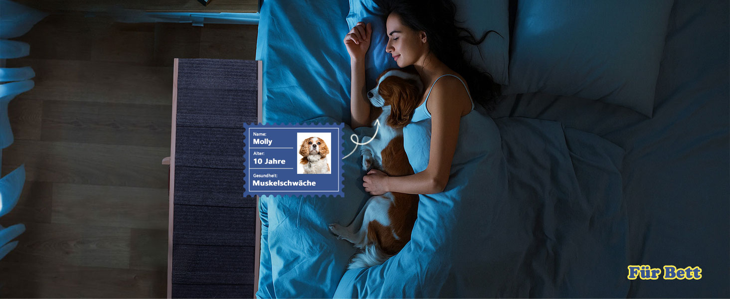 Сходинки для собак до ліжка та дивану – захист суглобів, антиковзаючі, складані, регульовані, портативні, для собак до 16 кг (до 30 кг)