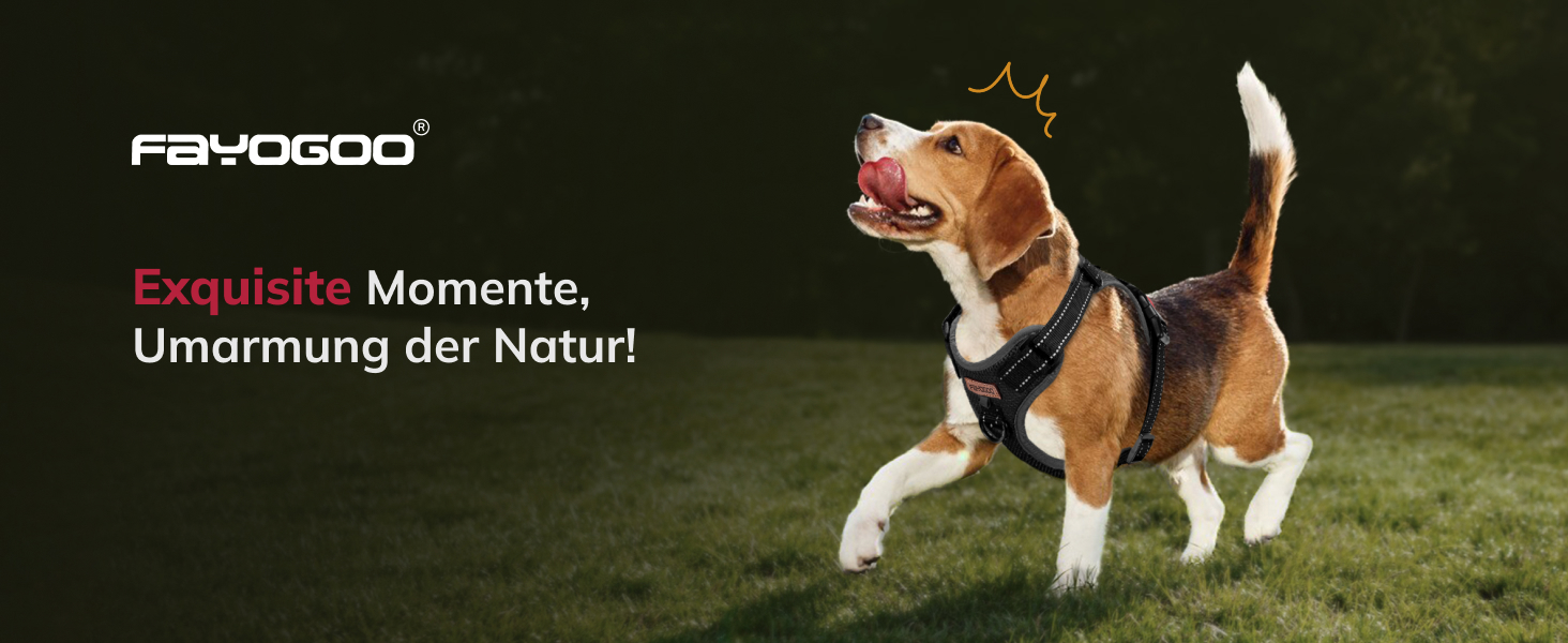 Шлейка для собак FAYOGOO, без чіпкості, з переднім кріпленням, світловідбиваюча, регульована, м'яка, з підкладкою, для малих, середніх та великих собак, для прогулянок (Блакитна, S)