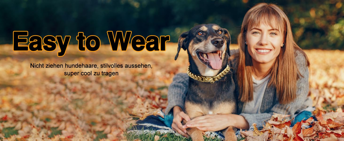 Нашийник для собак Кубинський стиль, нержавіюча сталь, ширина 14 мм, ланцюжок, довжина 26/31/36/41/46/51/56/61 см, золотий, для цуценят, собак маленьких та середніх порід