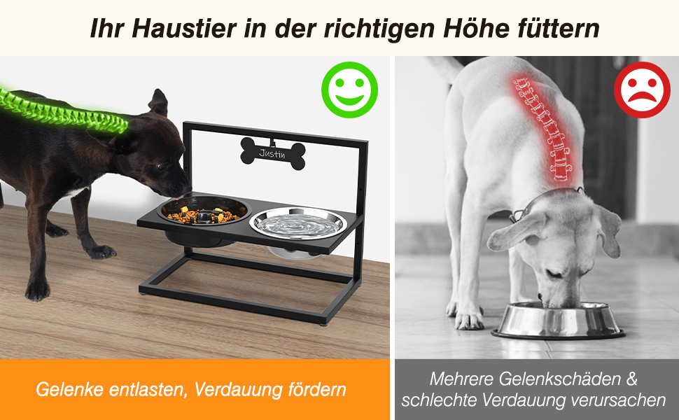 Adjustable Elevated Dog Bowl - 3 Heights, Anti-Tip, Personalized Name Plate, No-Slip Stand - Large & Medium Dog Food & Water Bowls
