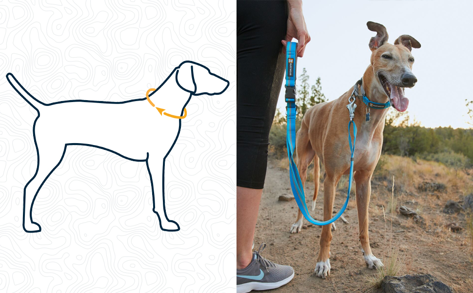 Нашийник для собак RUFFWEAR Web Reaction, синій, 28-36 см