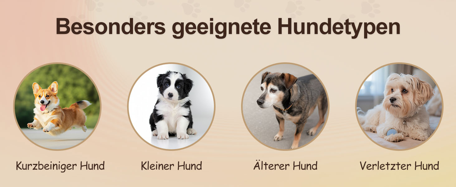 Сходинка для собак Niubya, 62 см, 5 сходинок, для котів та собак, для літніх та поранених тварин, знімний чохол, високощільний пінопласт (сірий)