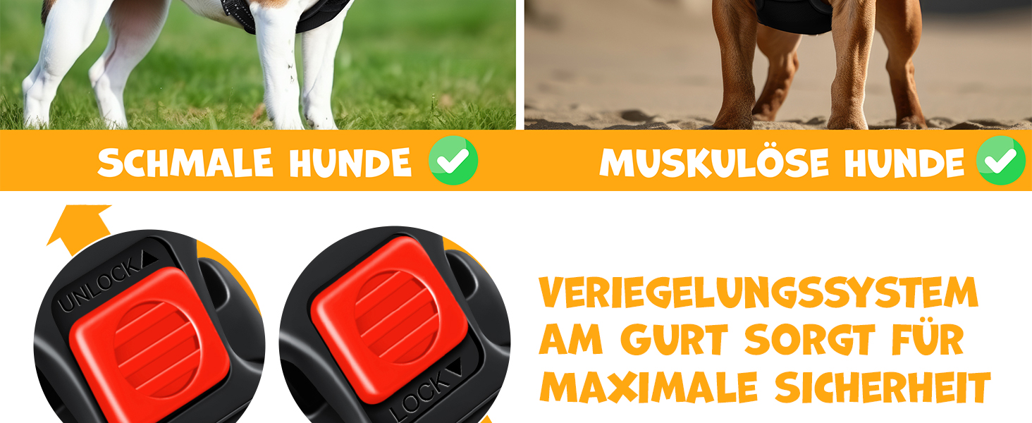 Шлейка для собак без натягу та задухи, дихаюча та м'яка, з світловідбиваючими елементами | Шлейка No-Pull з кишенькою для відходів | Регульована шлейка з ручкою - (M, Чорний)