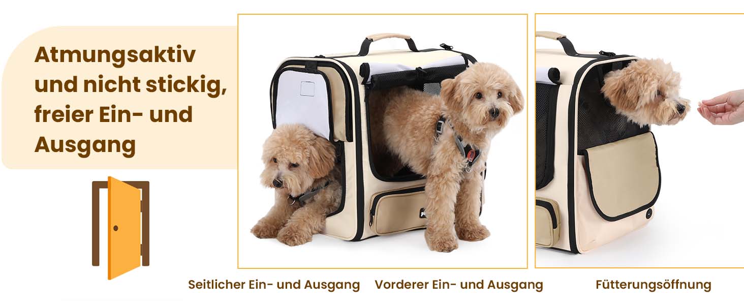 Pecute Рюкзак-переноска для котів та маленьких собак, темно-зелений. Зручний, вентильований, для подорожей, хайкінгу та кемпінгу