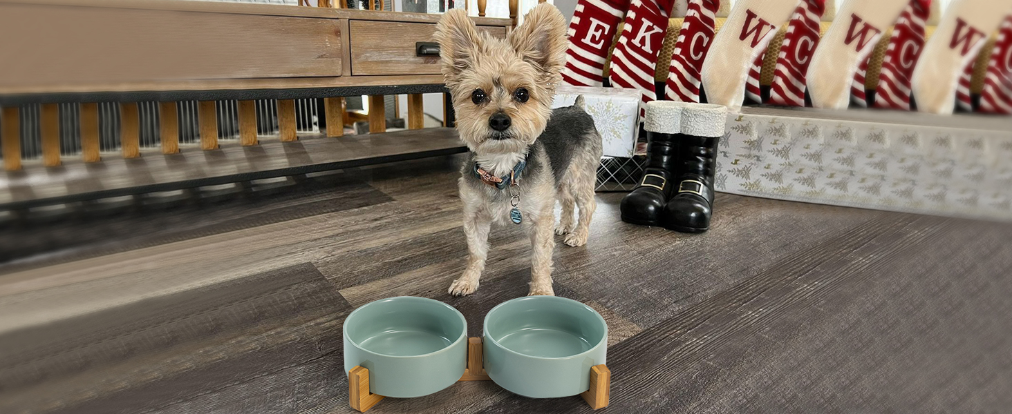 Набір мисок для котів та собак SPUNKYJUNKY з бамбукового підставки (400мл, Бежевий)