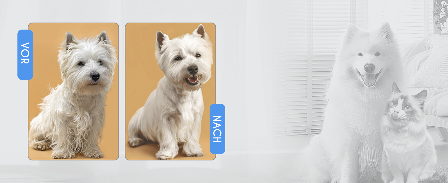 Набір для грумінгу собак та котів: професійні ножиці для стрижки шерсті з чохлом з екошкіри, нержавіюча сталь