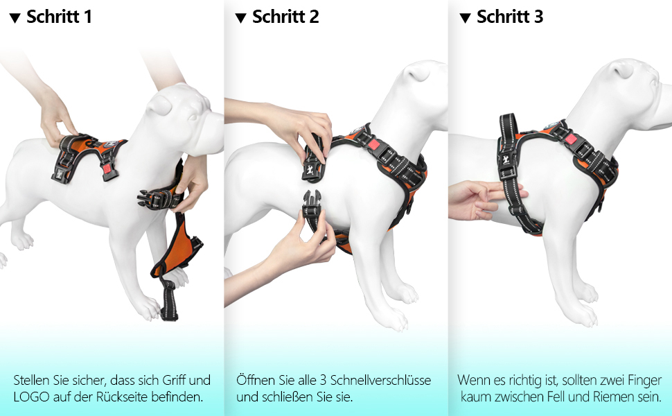 Нашийник для собак PoyPet без заплутування, світловідбиваючий, м'який, з простим закриттям, для маленьких собак (XL, Помаранчевий)