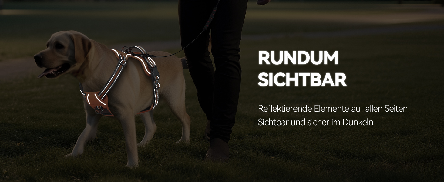 Шлейка для собак VIVAGLORY Easewalk, анти-тяга, для тренувань та прогулянок, з ручкою, анти-тяга для цуценят, XS, фіолетовий (25-51 см окружність грудної клітки)