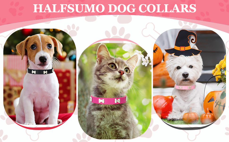 Нашийник для собак з натуральної шкіри та поводок-комбінований набір. Регульований нашийник для цуценят та собак маленьких та середніх порід. Білий, XS, S, M