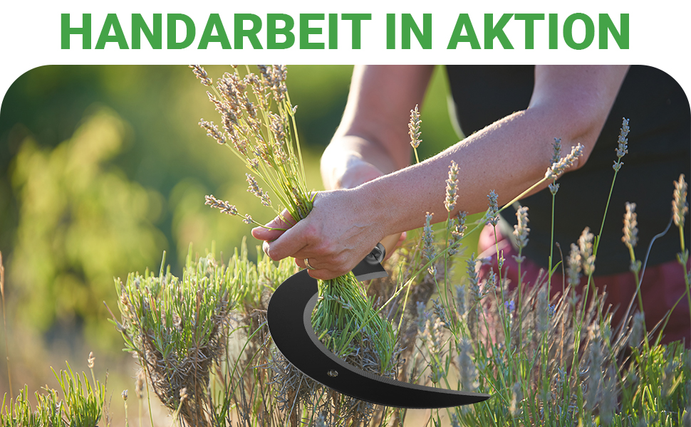ALBAJ Sickle with Wooden Handle - traditional sharp sickle - sustainable scythe 35x22 cm - includes free sharpening stone – robust sickle for grass