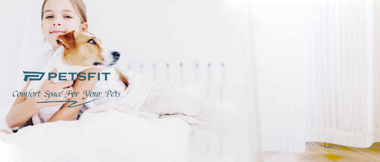 PETSFIT Автокрісло для собак та котів, середньорозмірне, сіре, до 4.5 кг, з безпечним ременем та кишенями