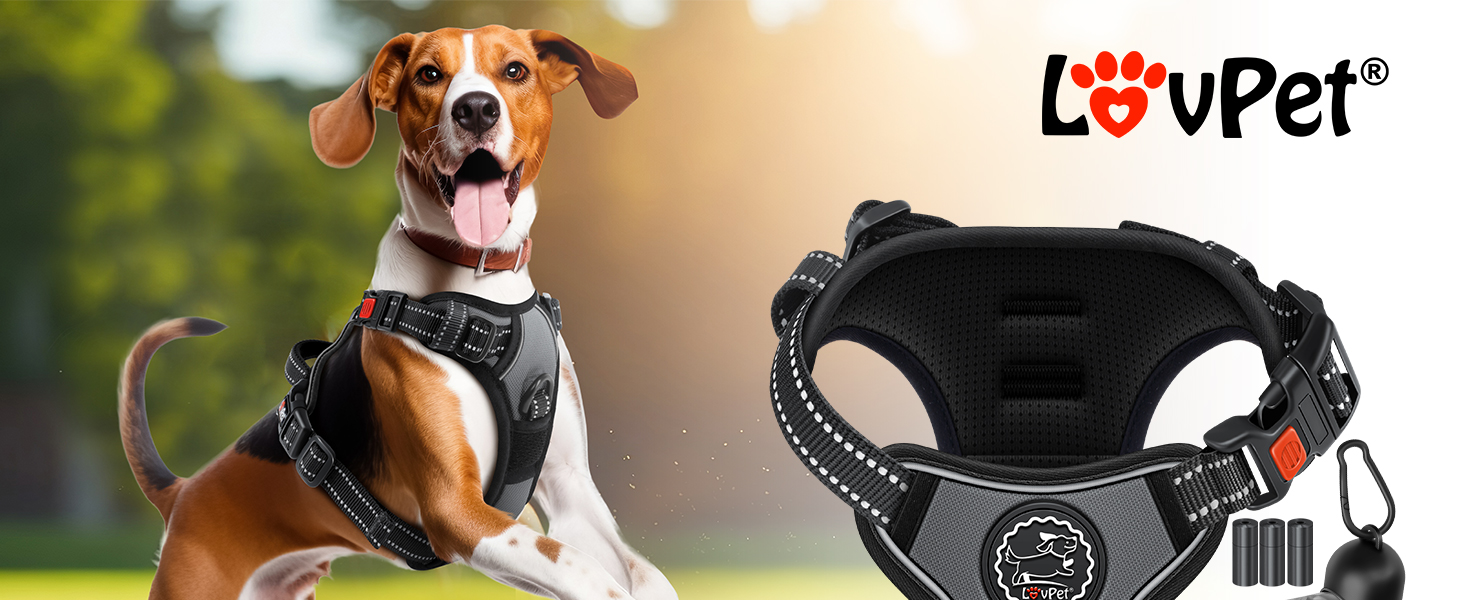 Шлейка для собак без натягу та задухи для маленьких собак та цуценят, дихаюча та м'яка, світловідбиваюча | Шлейка No-Pull з ручками та рулетами для відходів | Регульована шлейка з ручкою, колір антрацит, розмір L