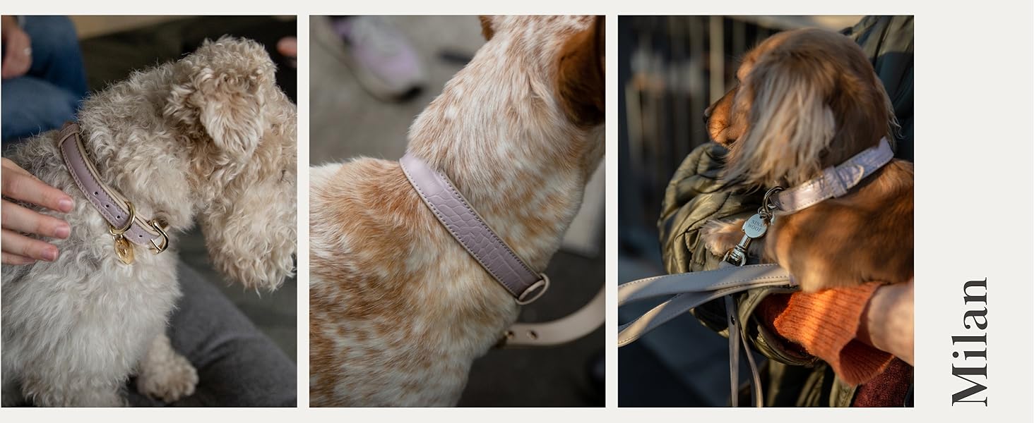 Нашийник для собак Nina Woof Milan з веганської шкіри, м'який, регульований, з крокодиловим тисненням, фіолетовий, розмір M, обхват шиї 38–48 см