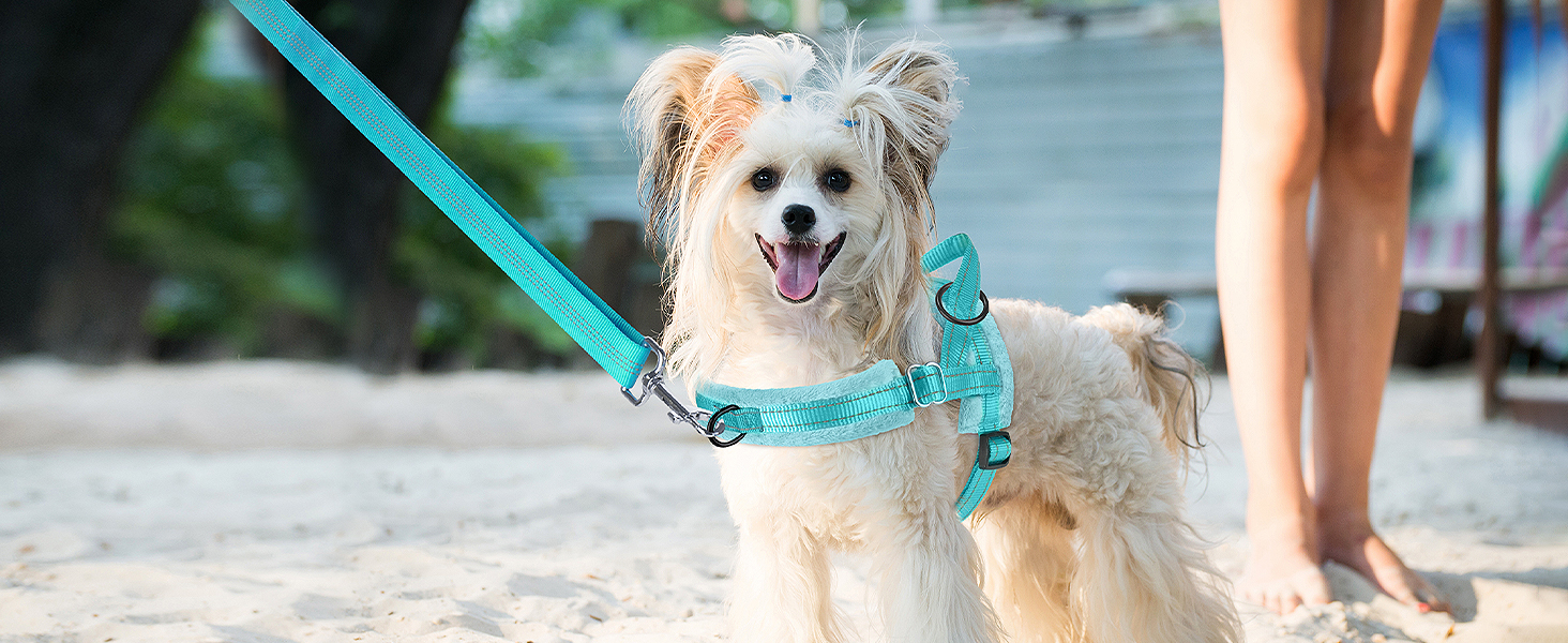 Шлейка для собак середнього та малого розміру з повідком, м'яка, не тягне, чорна, розмір S