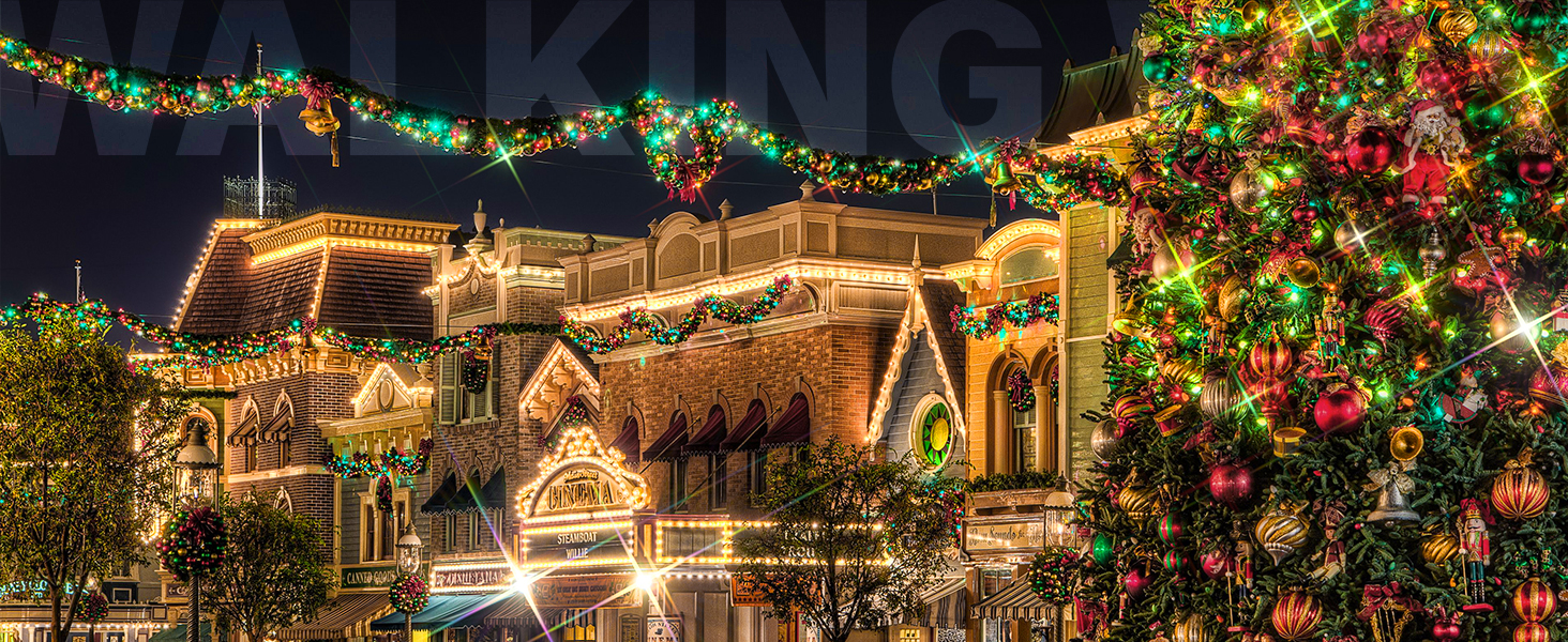 Набір зіркових фільтрів Walking Way 67mm (3 шт.) для камери: 4, 6, 8 променів + чохол