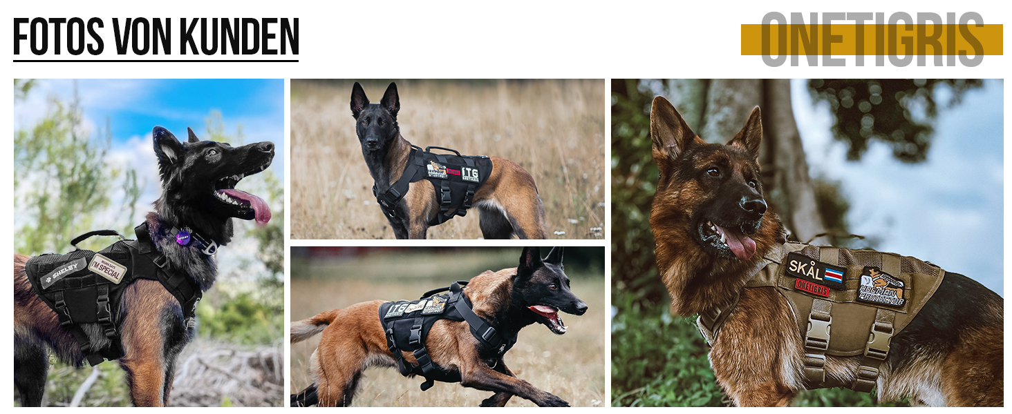 Нагрудник для собак OneTigris AIRE MESH, тактичний, великий, анти-тяга, з 2 ручками, регульований, дихаючий, зелений (рожевий, M)