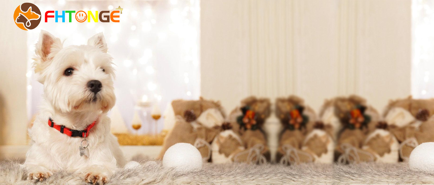 Водонепроникний килимок для собак FHTONGE 120x70 см - килимок для собак середнього та великого розміру, килимок для подорожей, кемпінгу, тераси, відпочинку в приміщенні (блакитний)