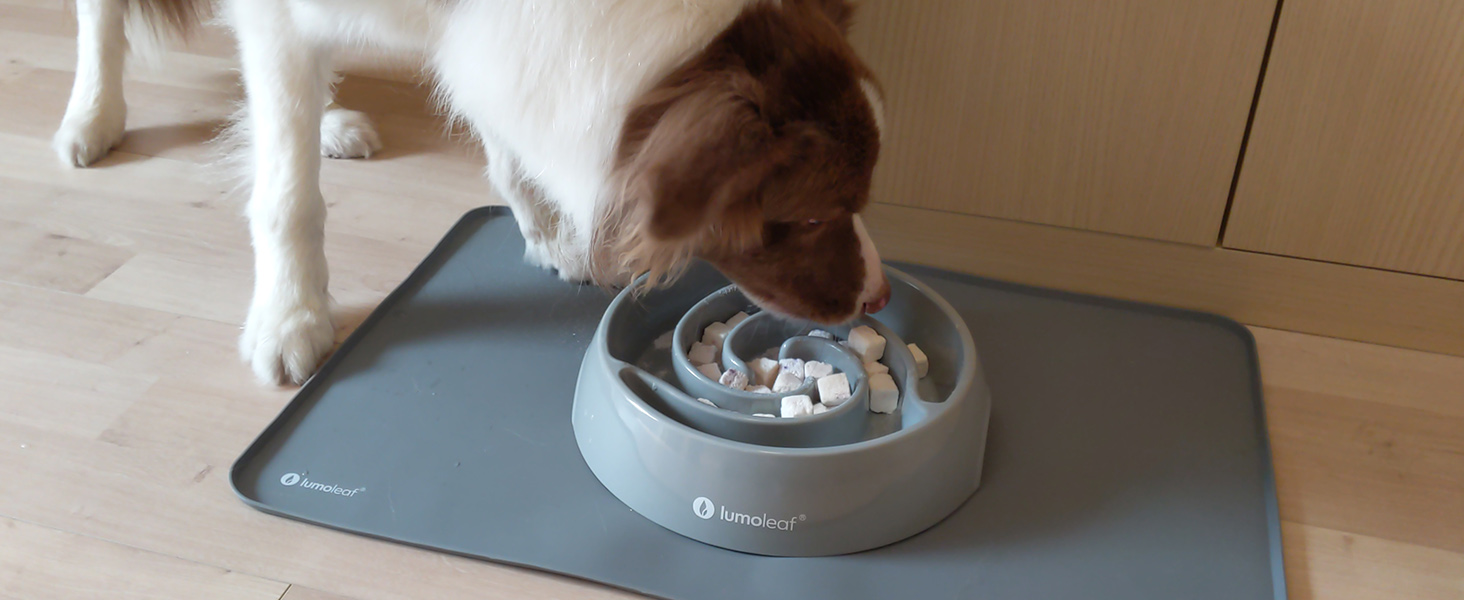 Миска для собак LumoLeaf Antischlingnapf, Ø 22 см, протиковзаюча, важка, для повільного годування, сіра (Торнадо), L