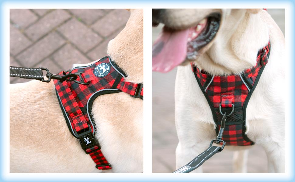 Нашийник для собак PoyPet без обмеження руху, світловідбиваючий, м'який, з простим застібкою, для маленьких собак (M, в клітинку червоний)
