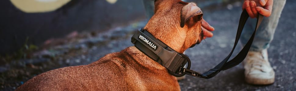 Тактичне нашийник для собак, 5 см: міцний нейлон, магнітна ручка, запобіжна застібка, для великих собак (5 см/L = 45-60 см, Бордовий)