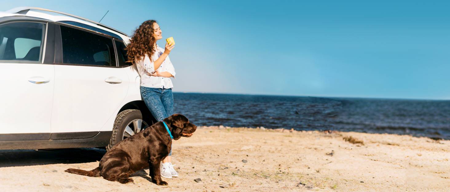 Плед для собак у машину Pecute з жорсткою основою, 133*62 см, водонепроникний, анти-царапин, для собак до 150 кг, чорний