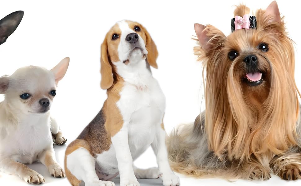 Міцна складана переноска для собак з металевого дроту з піддоном, одностулковими дверима, 76,2 x 48,3 x 53,3 см, чорна