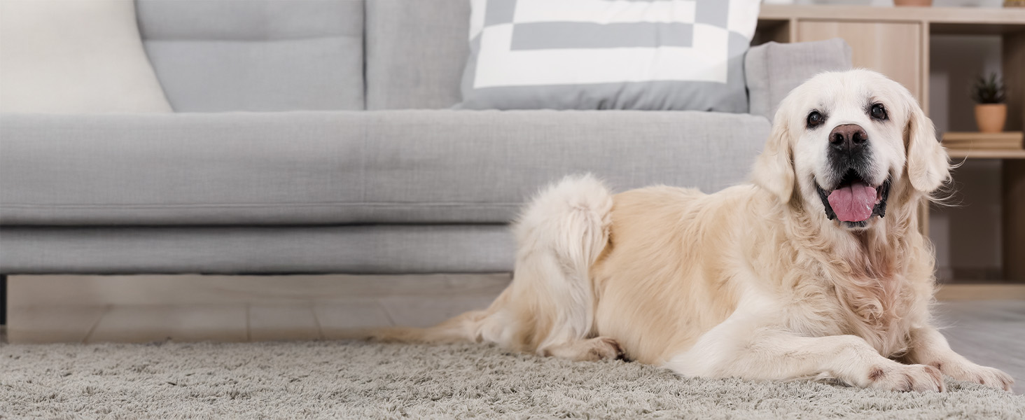 Бездротовий пилосос Cecotec Conga Rockstar 5500 Hurricane Station Flex Max: 220AW, 700W, станція самостійного очищення, 90 хв роботи, антизаплутувальна щітка, гнучкий шланг, циклонна технологія