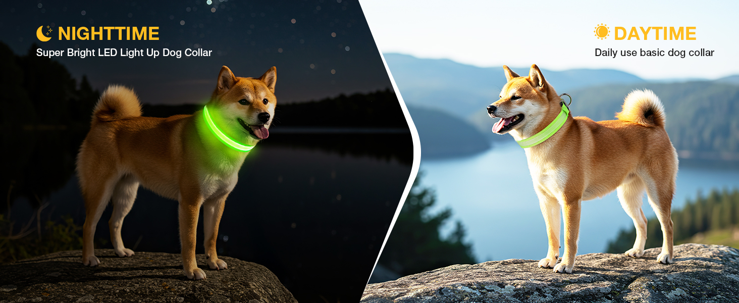 Світлодіодне нашийник для собак Jewyow 7-в-1, багатоквітний, USB-C, водонепроникний, для малих, середніх та великих собак - Синій, M