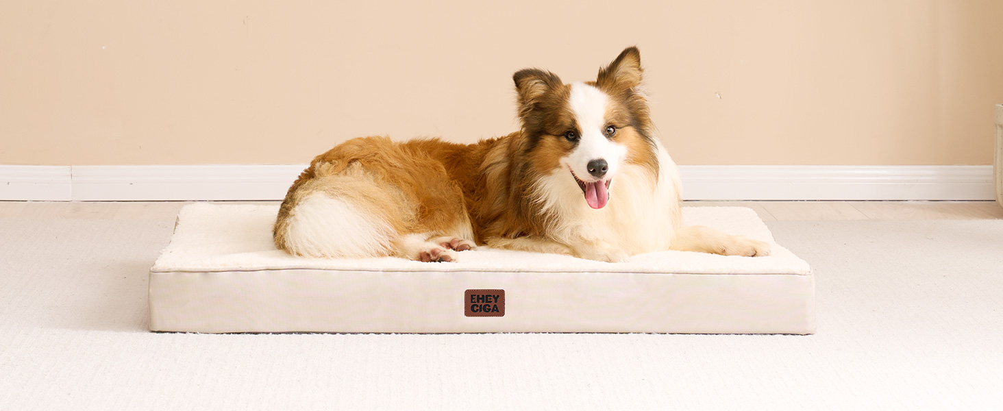 Ортопедичне ліжко для собак EHEYCIGA, малі породи, 76x51x9 см, з м'яким вкладишем, для переноски, Kamel