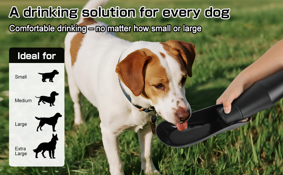 Водяна пляшка для собак на прогулянці - не протікає, з нержавіючої сталі, подвійні стінки, вакуумна ізоляція, 750 мл, чорна