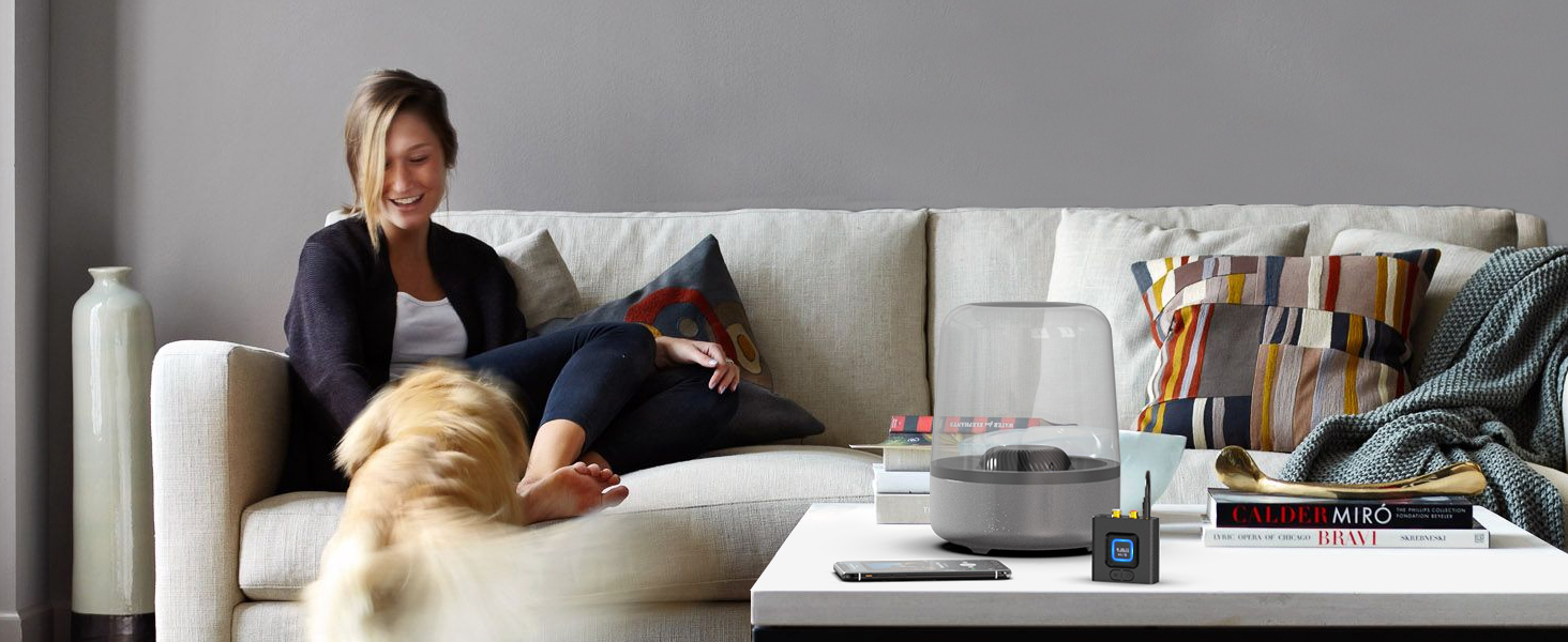 1Mii ML201 Bluetooth адаптер для стереосистеми: бездротовий аудіо приймач з AUX/Cinch, для ПК, смартфонів та планшетів, 12 годин роботи, режим басів Medium