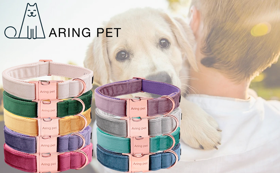 Елегантний ошийник для собак Aring з бантиком, темно-зелений, регульований, з м'якого велюру, подарунок для дівчаток та хлопчиків