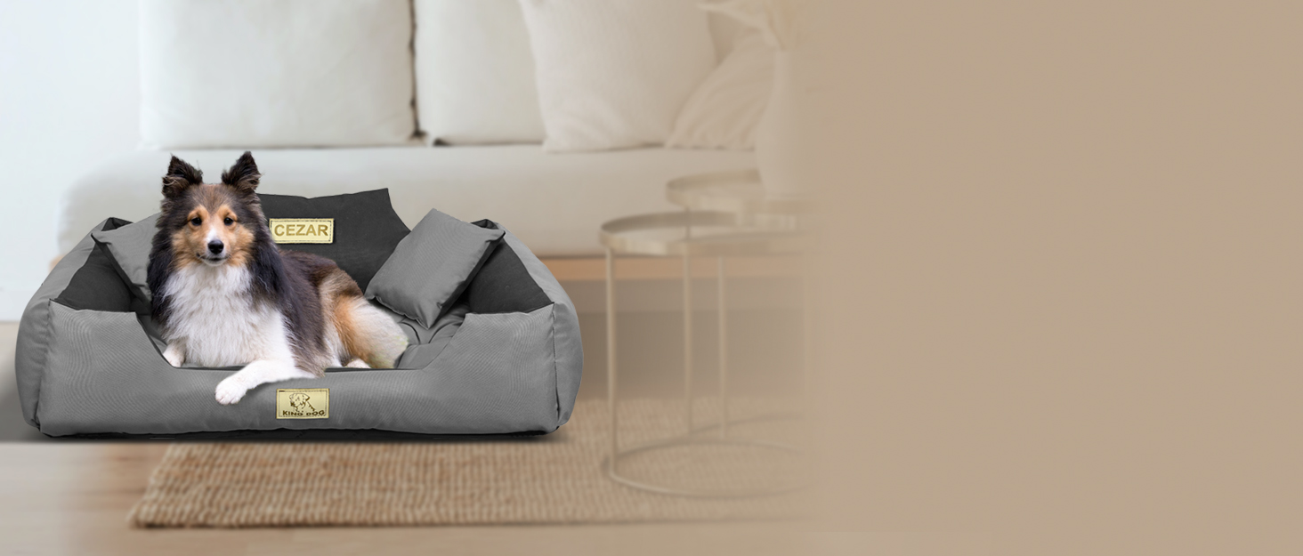 Крісло-ліжко для собак великих порід, миється, з можливістю персоналізації (ім'я собаки), з блискавкою, знімний наповнювач, неслизьке дно, силіконовий наповнювач, зелений колір, розмір M 75 x 65 см