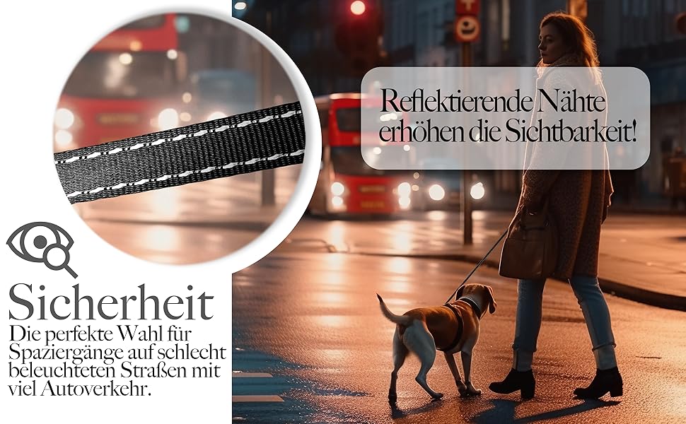 Рулетка для собак середніх та великих (до 50 кг) з відбиваючими смугами, надійний гальмо, поворотний карабін, нейлоновий ремінь, ергономічна ручка, розмір L