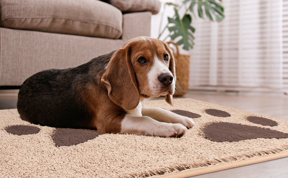 Килимок для дому FCSDETAIL 50x80 см, надлишковий, нековзкий, водонепроникний, для собак, входів, мокрих лап (Бежевий)